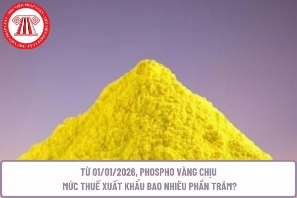 Từ 01/01/2026, phospho vàng chịu mức thuế xuất khẩu bao nhiêu phần trăm?