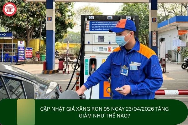 Cập nhật giá xăng Ron 95 ngày 23/04/2026 tăng giảm như thế nào?