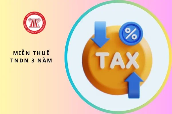 Doanh nghiệp mới thành lập cần làm hồ sơ gì để được miễn thuế TNDN 3 năm?