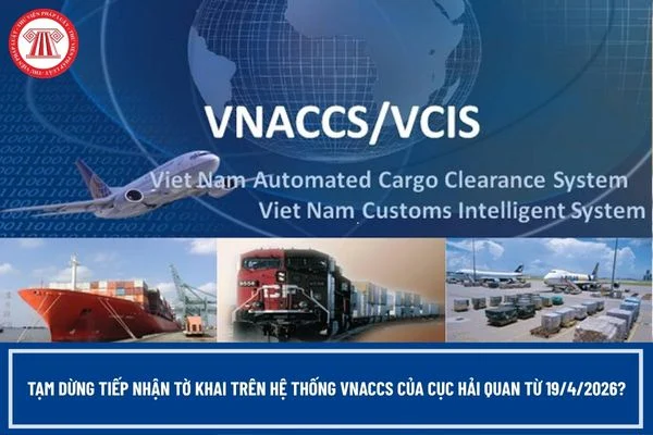 Tạm dừng tiếp nhận tờ khai trên hệ thống VNACCS của Cục hải quan từ 19/4/2026?