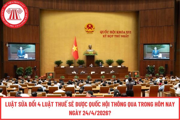 Luật sửa đổi 4 Luật Thuế sẽ được Quốc hội thông qua trong hôm nay ngày 24/4/2026?