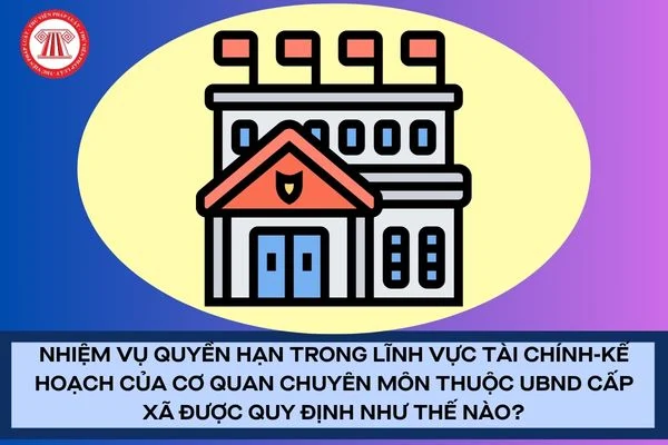 Nhiệm vụ quyền hạn trong lĩnh vực tài chính-kế hoạch của cơ quan chuyên môn thuộc UBND cấp xã được quy định như thế nào?