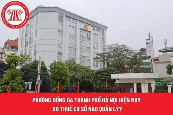 Phường Đống Đa thành phố Hà Nội hiện nay do Thuế cơ sở nào quản lý?