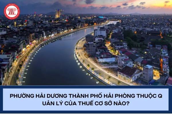 Phường Hải Dương thành phố Hải Phòng thuộc quản lý của thuế cơ sở nào?