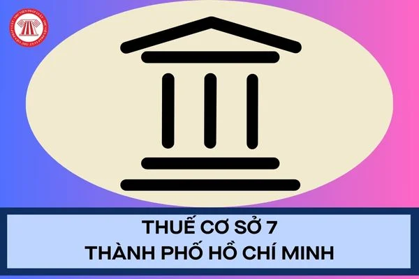 Thuế cơ sở 7 thành phố Hồ Chí Minh đang quản lý địa bàn nào hiện nay? Trụ sở đặt ở đâu?