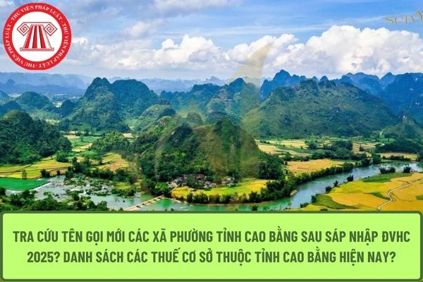 Tra cứu tên gọi mới các xã phường tỉnh Cao Bằng sau sáp nhập ĐVHC 2025? Danh sách các Thuế cơ sở thuộc tỉnh Cao Bằng hiện nay?