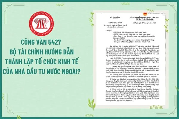 Công văn 5427 Bộ Tài chính hướng dẫn thành lập tổ chức kinh tế của nhà đầu tư nước ngoài?
