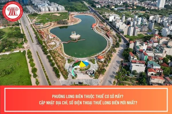 Phường Long Biên thuộc thuế cơ sở mấy? Cập nhật địa chỉ, số điện thoại Thuế Long Biên mới nhất?