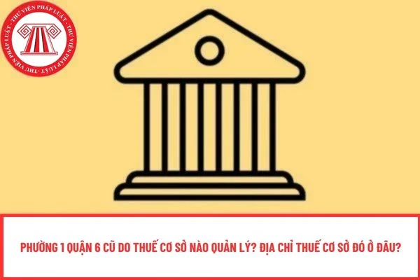 Phường 1 Quận 6 cũ do Thuế cơ sở nào quản lý? Địa chỉ Thuế cơ sở đó ở đâu?