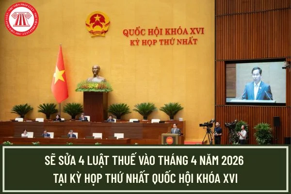 Sẽ sửa 4 Luật Thuế vào tháng 4 năm 2026 tại Kỳ họp thứ nhất Quốc hội khóa XVI?