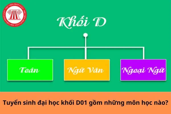 Tuyển sinh đại học khối D01 gồm những môn học nào?