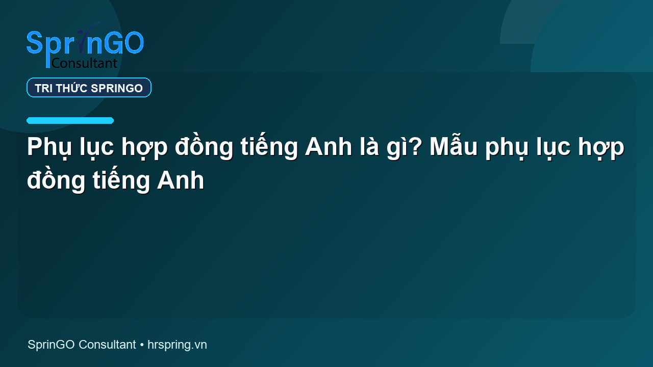 Phụ lục hợp đồng tiếng Anh là gì? Mẫu phụ lục hợp đồng tiếng Anh