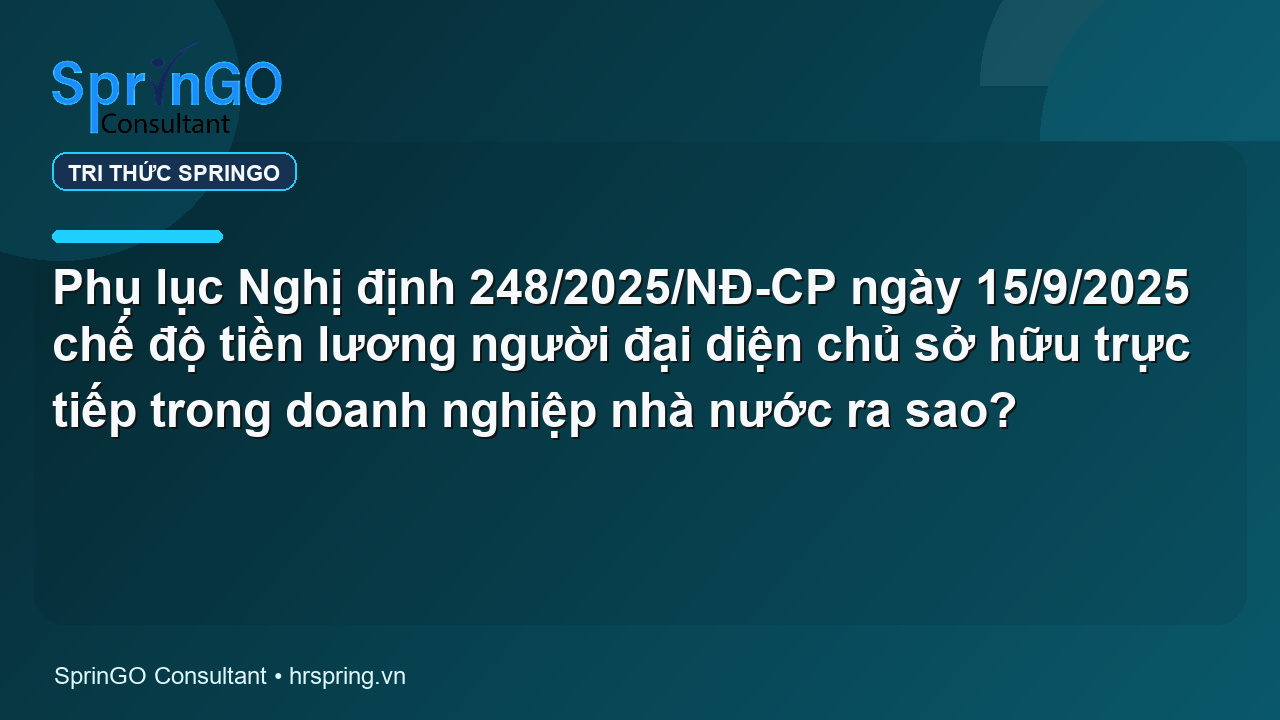 Phụ lục Nghị định 248/2025/NĐ-CP ngày 15/9/2025 chế độ tiền lương người đại diện chủ sở hữu trực tiếp trong doanh nghiệp nhà nước ra sao?