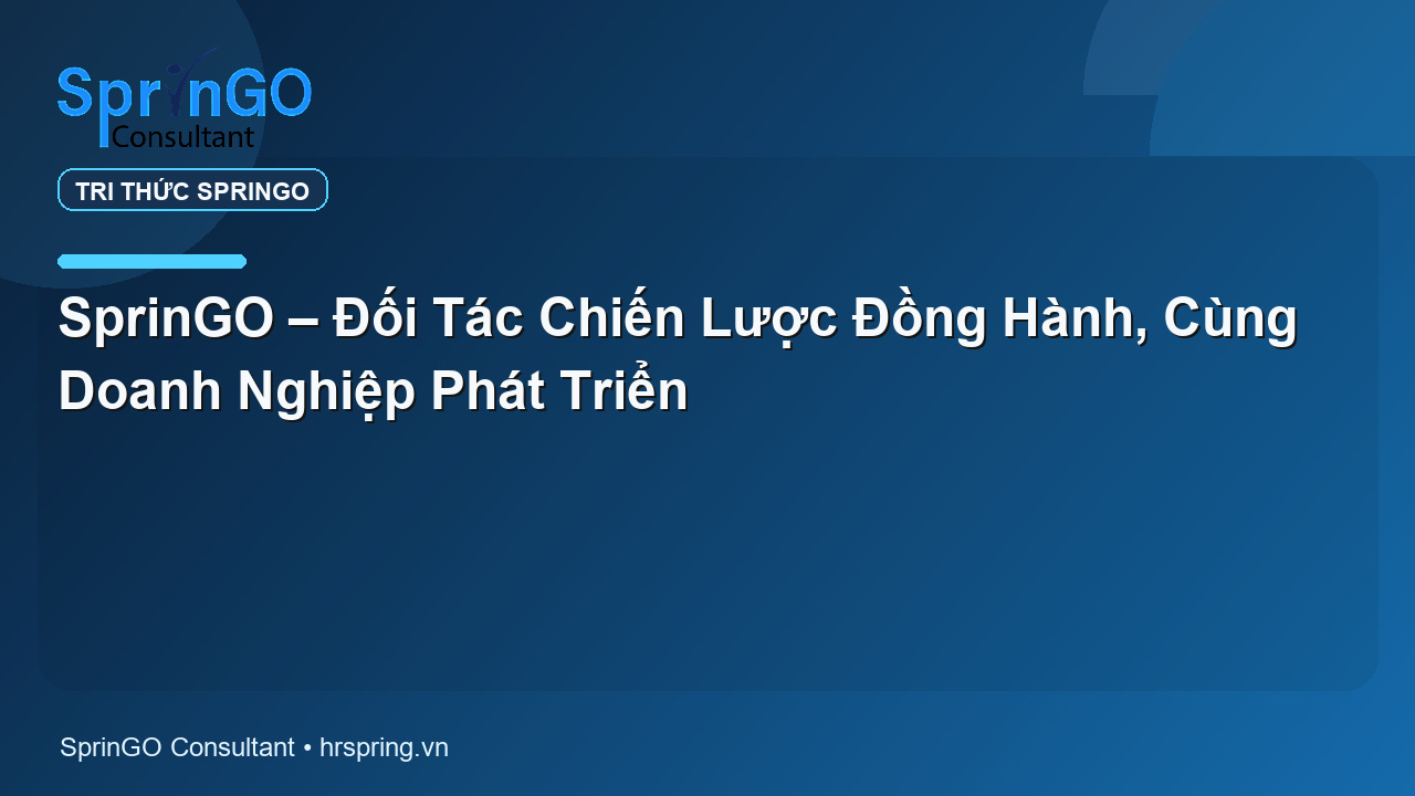 SprinGO – Đối Tác Chiến Lược Đồng Hành, Cùng Doanh Nghiệp Phát Triển