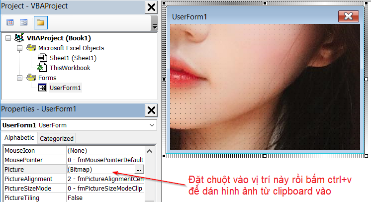 Hướng dẫn cách chèn ảnh vào Userform VBA đơn giản nhất