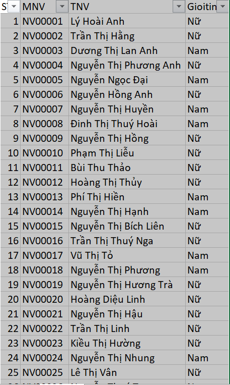 loc-du-lieu-theo-dieu-kien-su-dung-excel-1