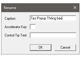 Cách viết tiếng Việt có dấu trong VBA
