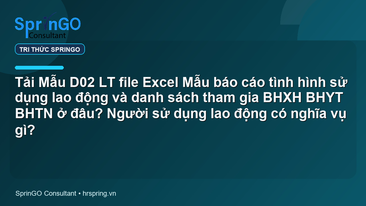 Tải Mẫu D02 LT file Excel Mẫu báo cáo tình hình sử dụng lao động và danh sách tham gia BHXH BHYT BHTN ở đâu? Người sử dụng lao động có nghĩa vụ gì?