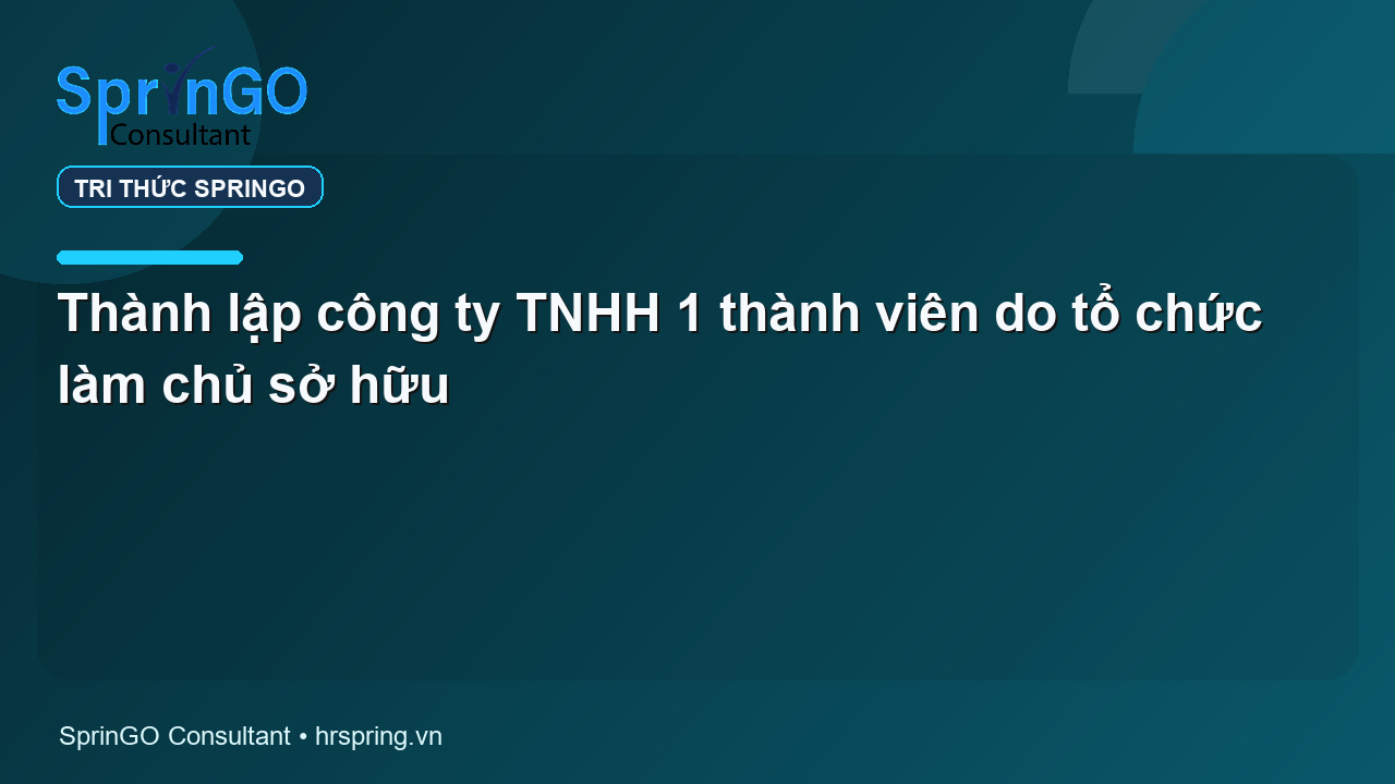 Thành lập công ty TNHH 1 thành viên do tổ chức làm chủ sở hữu