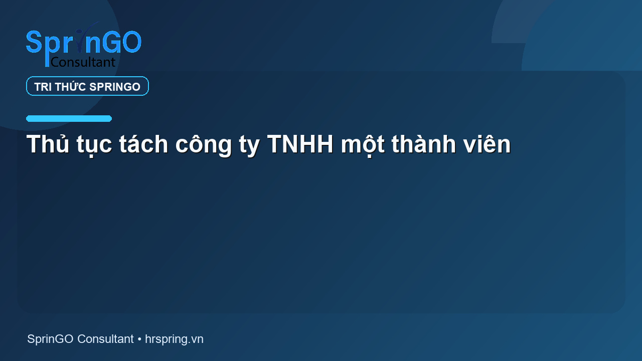 Thủ tục tách công ty TNHH một thành viên