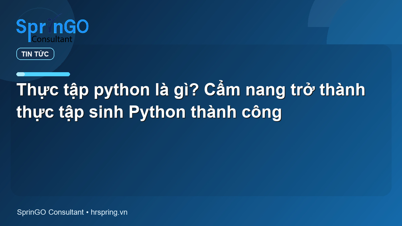 Thực tập python là gì? Cẩm nang trở thành thực tập sinh Python thành công