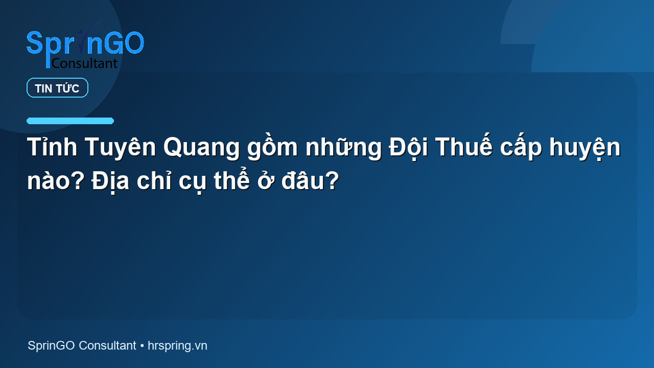 Tỉnh Tuyên Quang gồm những Đội Thuế cấp huyện nào? Địa chỉ cụ thể ở đâu?