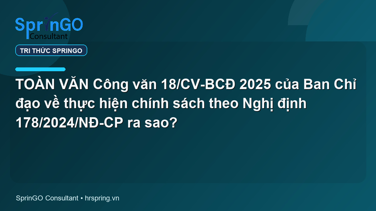 TOÀN VĂN Công văn 18/CV-BCĐ 2025 của Ban Chỉ đạo về thực hiện chính sách theo Nghị định 178/2024/NĐ-CP ra sao?