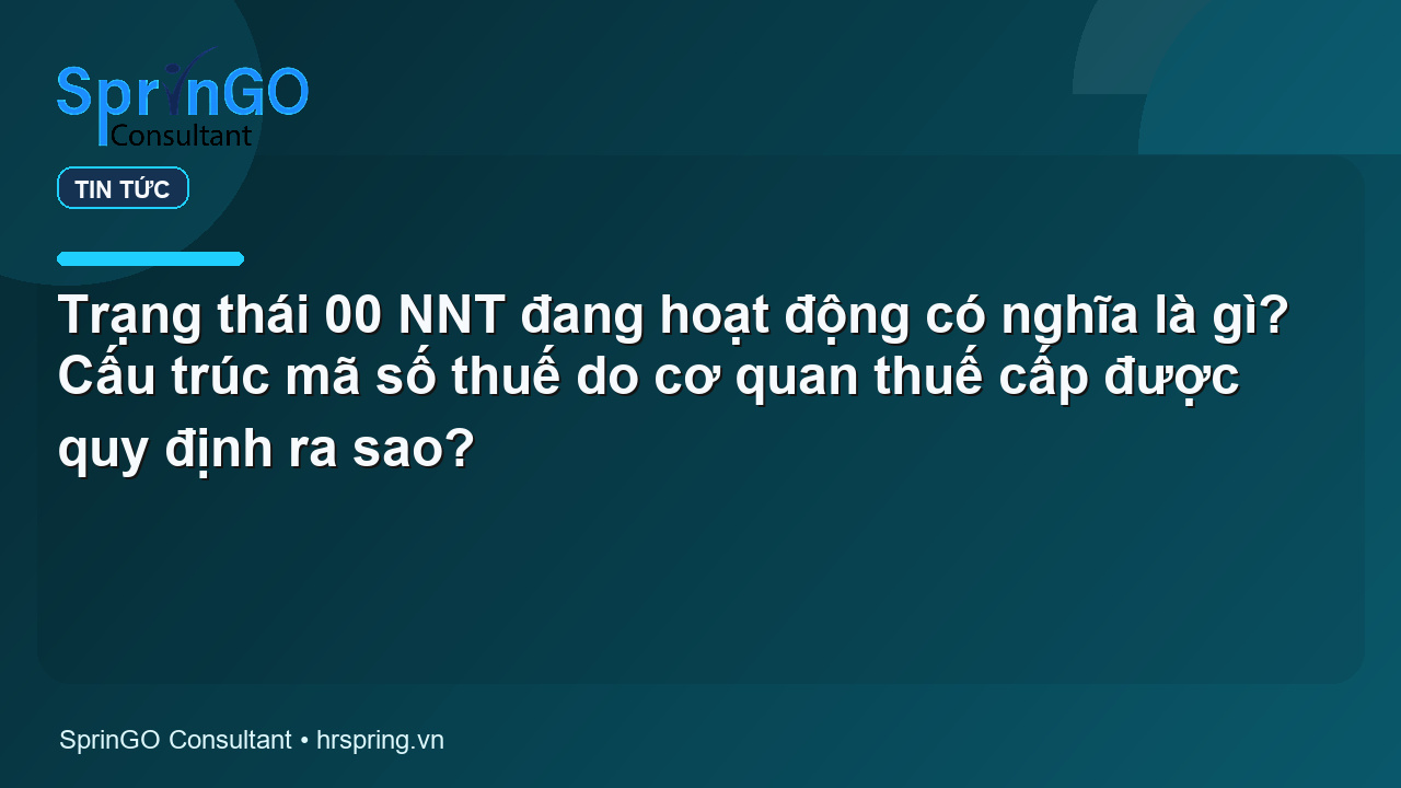 Trạng thái 00 NNT đang hoạt động có nghĩa là gì? Cấu trúc mã số thuế do cơ quan thuế cấp được quy định ra sao?