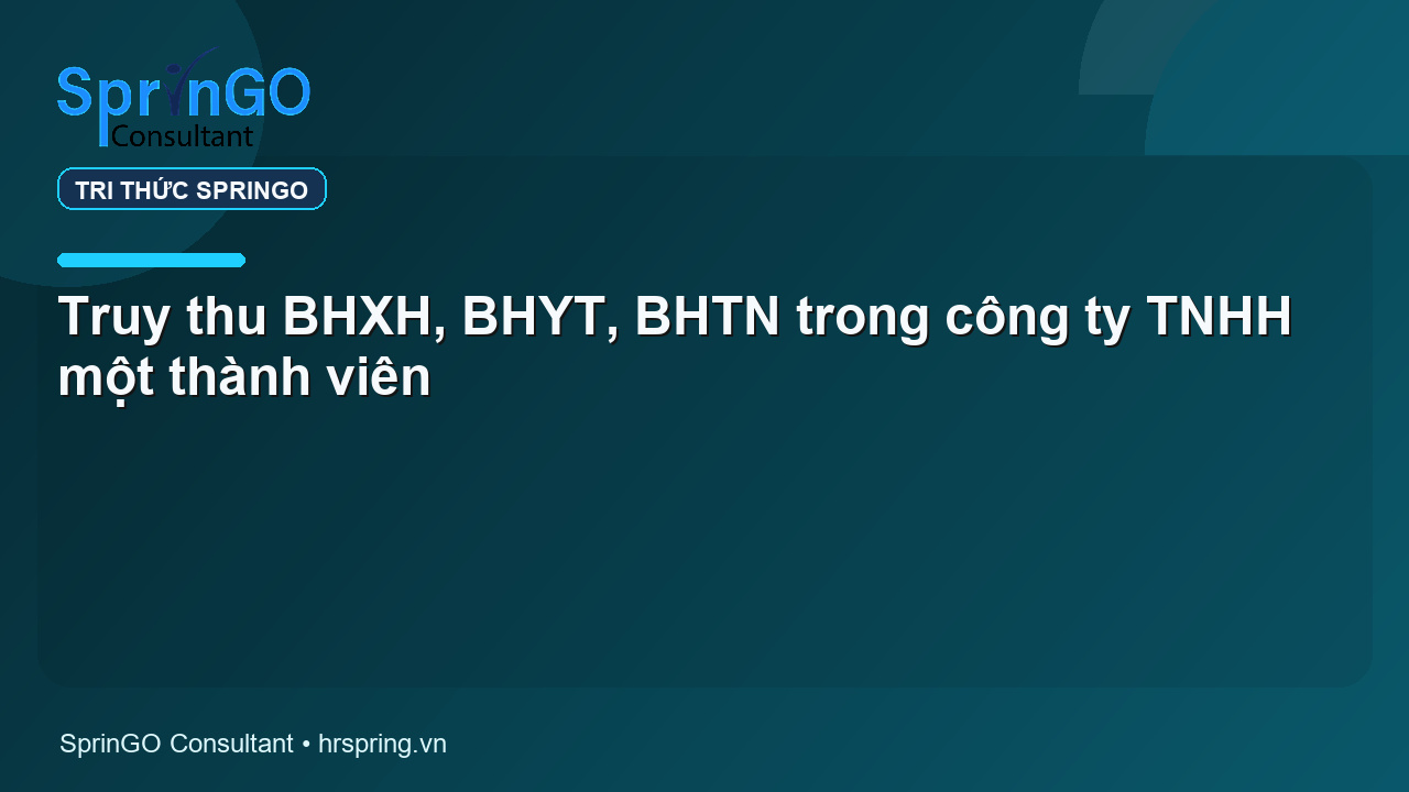 Truy thu BHXH, BHYT, BHTN trong công ty TNHH một thành viên