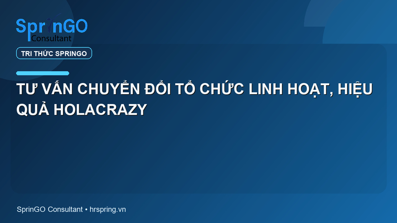 TƯ VẤN CHUYỂN ĐỔI TỔ CHỨC LINH HOẠT, HIỆU QUẢ HOLACRAZY